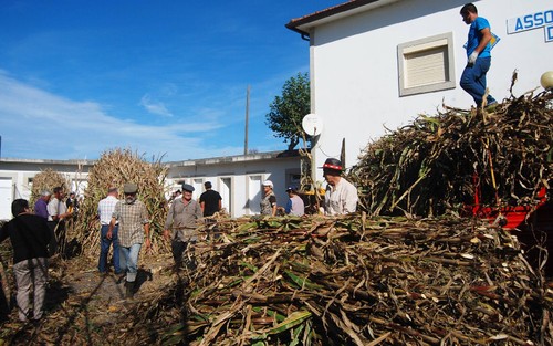 Padornelo Desfolhada 2014 a.jpg