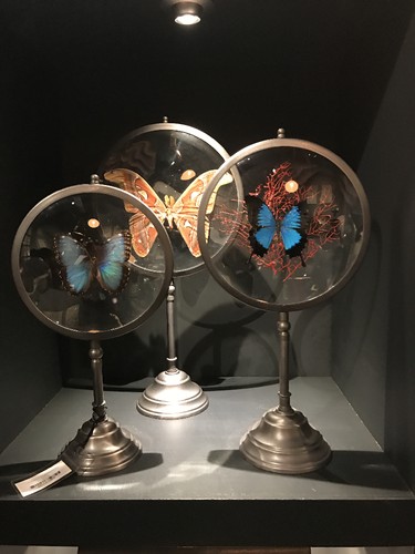 Primeira Casa da Rua by Nuno Matos Cabral 2.JPG Primeira Casa da Rua by Nuno Matos Cabral 2.JPG