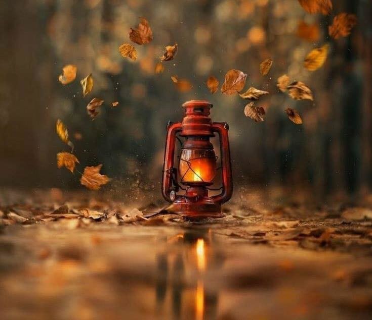 Para quando.jpg Para quando.jpg