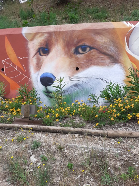 Raposa. Sagacidade. Arte Urbana. Setúbal. Foto Original. 2021.06.21.jpg