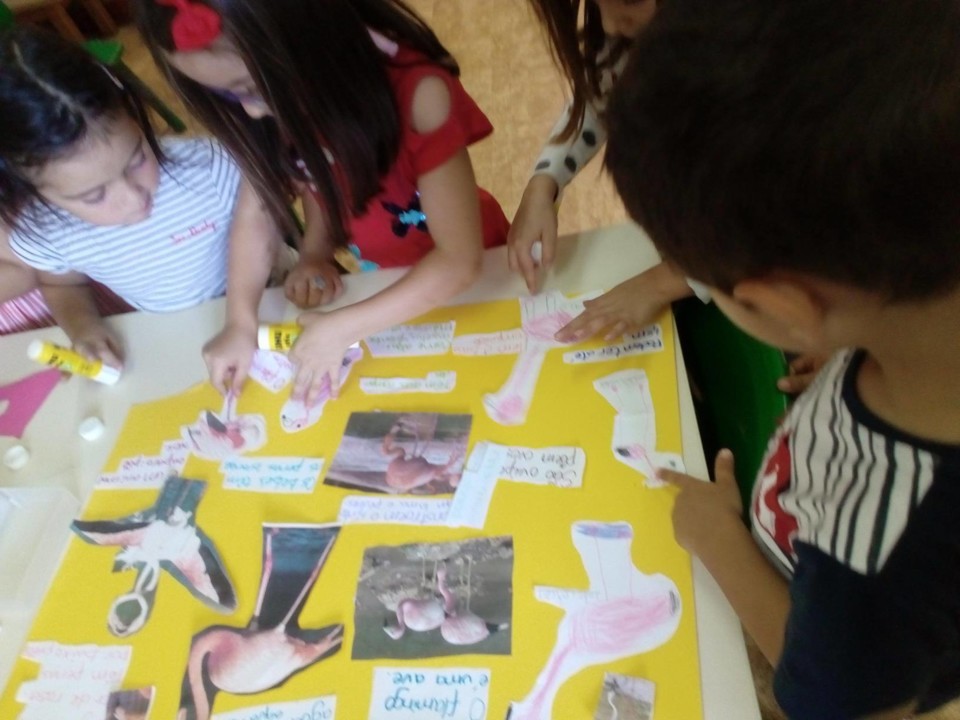 119985225_644444246266957_2271914318706083202_n.jp