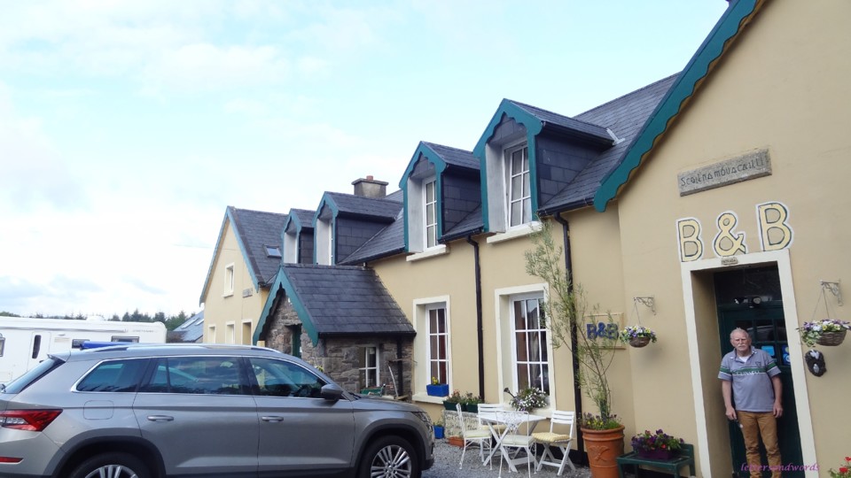 DSC06938.JPG DSC06938.JPG