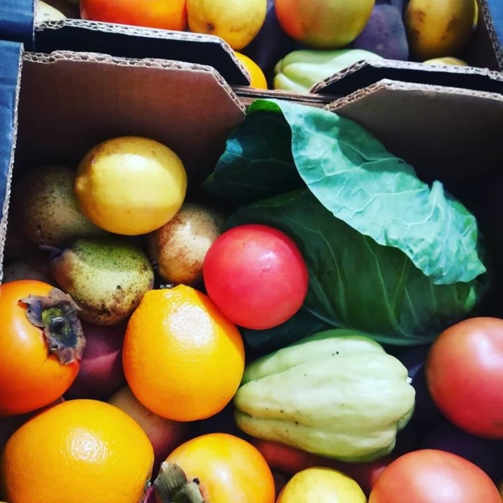 75540067_1525809690892120_4649203949327351808_o.jp