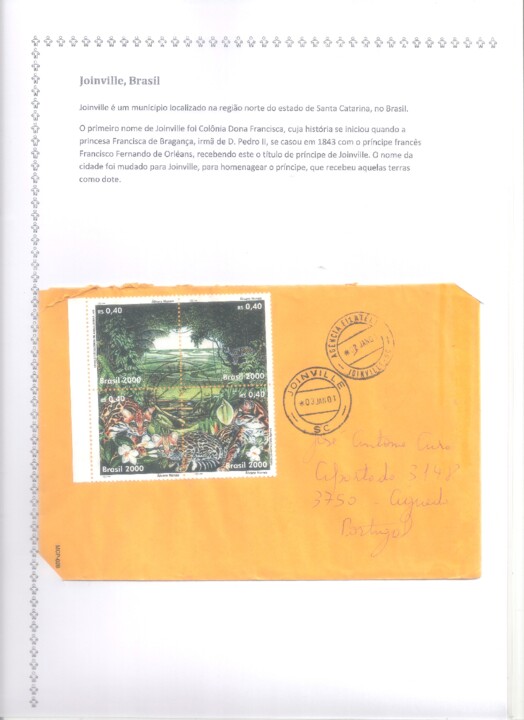 antro_intern (2).jpg