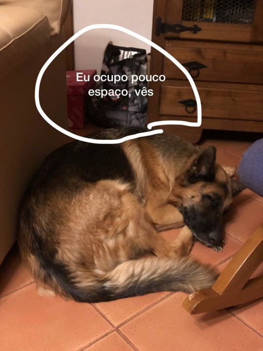 IMG-20190821-WA0002.jpg IMG-20190821-WA0002.jpg