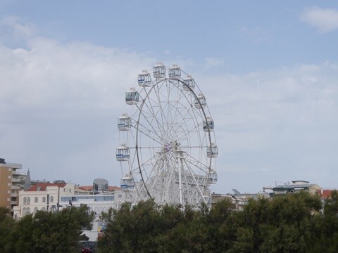 19b_Figueira_da_Fox (22).JPG