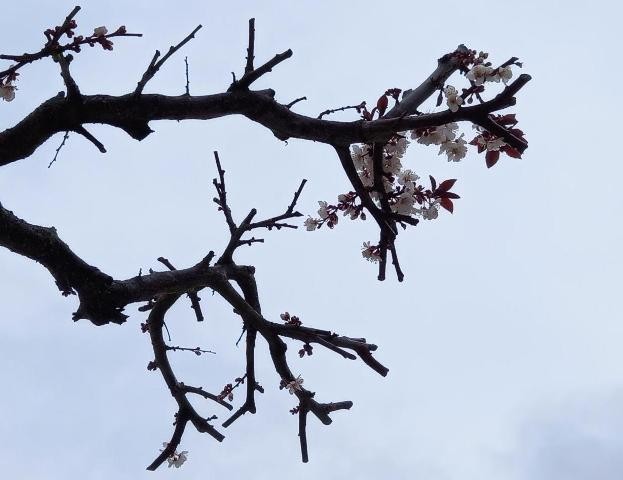 20220323_085515cópia - Cópia.jpg