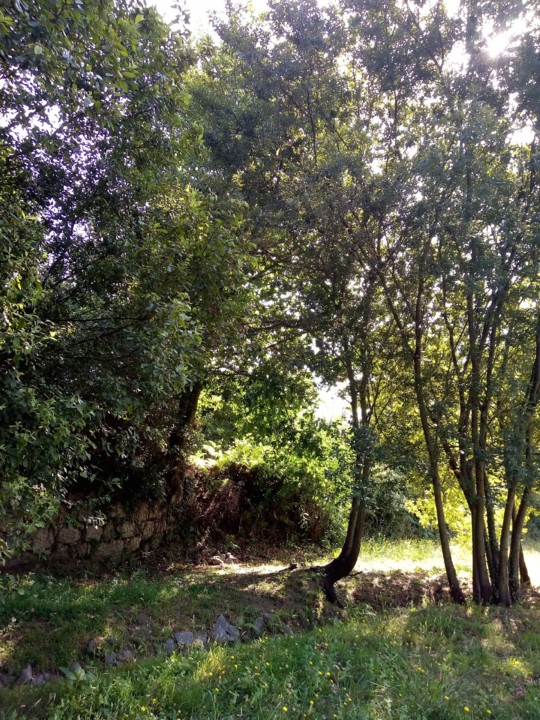 IMG_20190922_183845.jpg IMG_20190922_183845.jpg