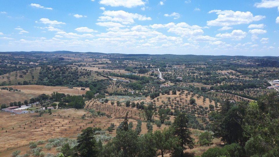 Paisagem de montemor.jpg