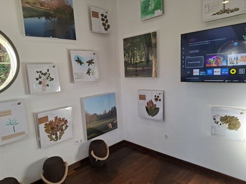 30a_Caminhada_a_Dois_PRU (15).jpg