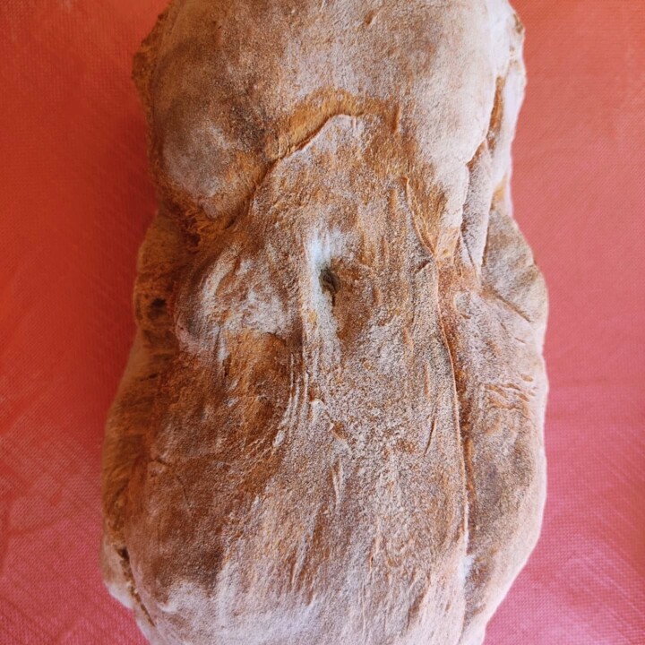 539147594_18495980569066958_4218981010498930019_n.