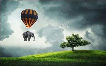 Des choses petites.jpg