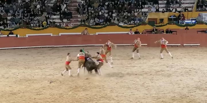 277234399_681334306626285_3740919136084720344_n.jp