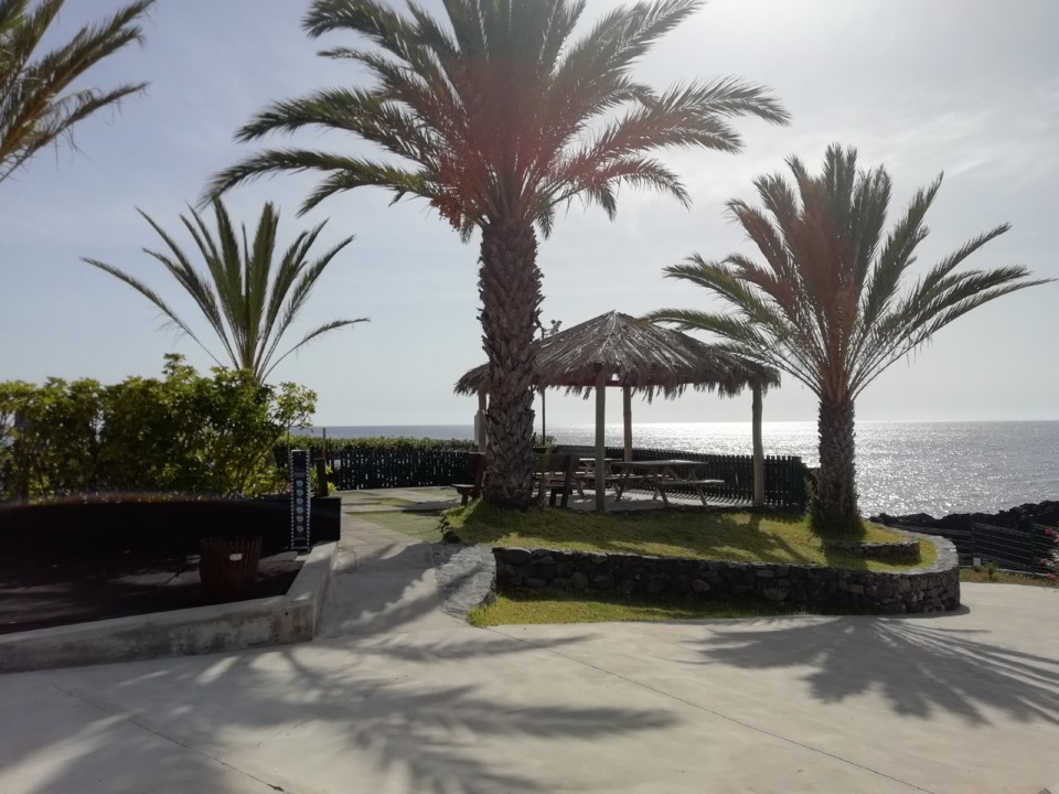 IMG_20201101_113008.jpg IMG_20201101_113008.jpg