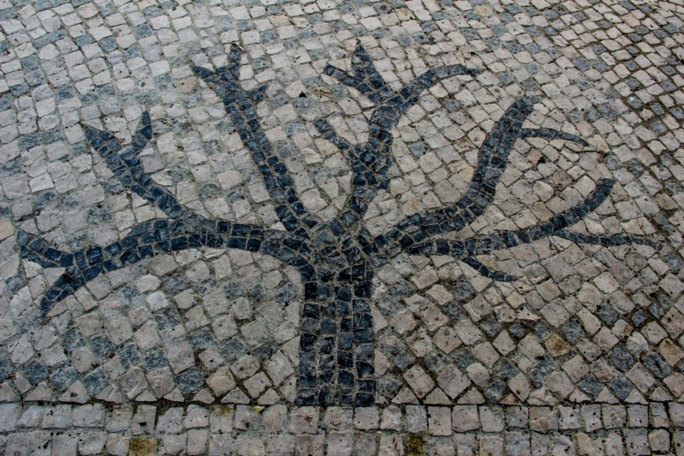 jardim cesario verde 6.jpg