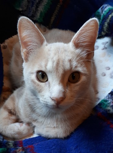 20181211_152346 (2).jpg 20181211_152346 (2).jpg