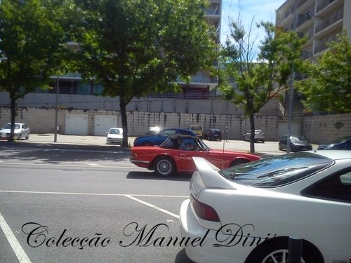 92 Além corgo  - Cópia (83).jpg