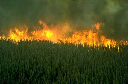 As%20Alterações%20Climáticas%20e%20os%20Fogos%2 As%20Alterações%20Climáticas%20e%20os%20Fogos%2