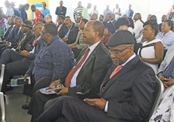 salomao.png salomao.png