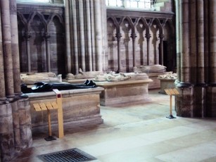 DSC03157-w307-h230.jpg