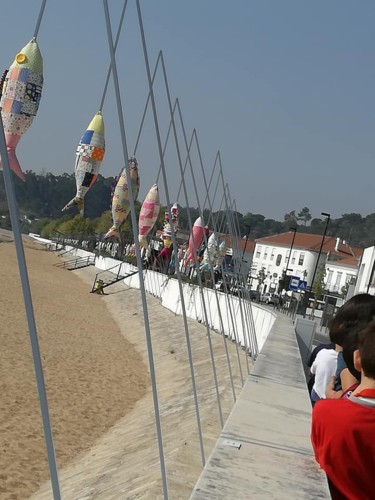 22281785_1509657952449430_5035012361094324664_n.jp