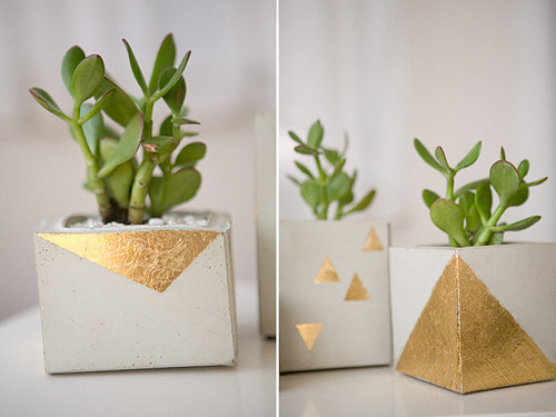 Amazing-DIY-cement-pots-with-Square-Shaped-with-Gr