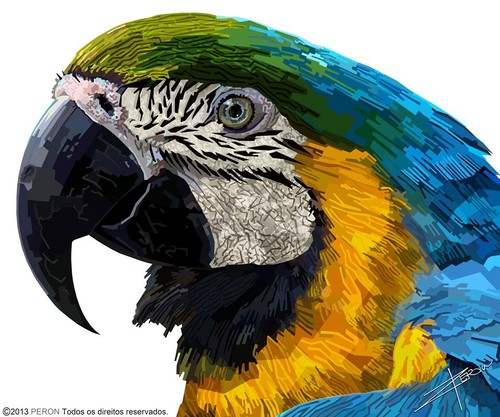 Arara (Barriga Amarela).jpg Arara (Barriga Amarela).jpg