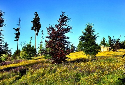 IMG_2536.JPG IMG_2536.JPG