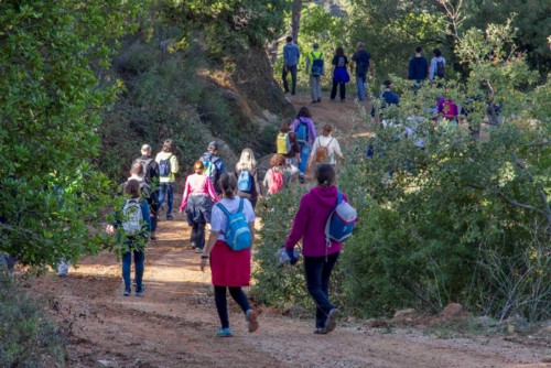 Dia do Coração.jpg