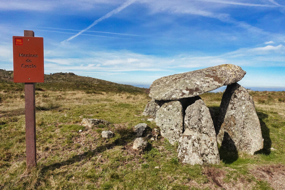 Aboboreira Carvalho de Rei 2024 b.jpg