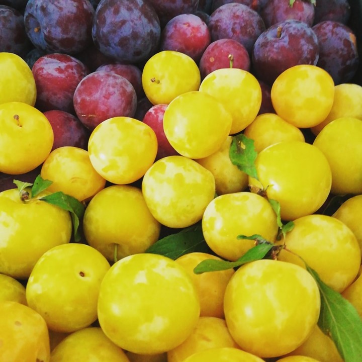 66679683_1416557625150661_5038289838445428736_n.jp