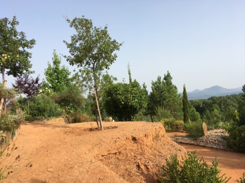 limoeiros horizonte.JPG limoeiros horizonte.JPG