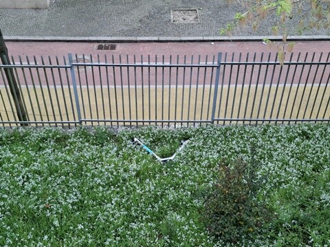 01a_Trotinete (1).jpg