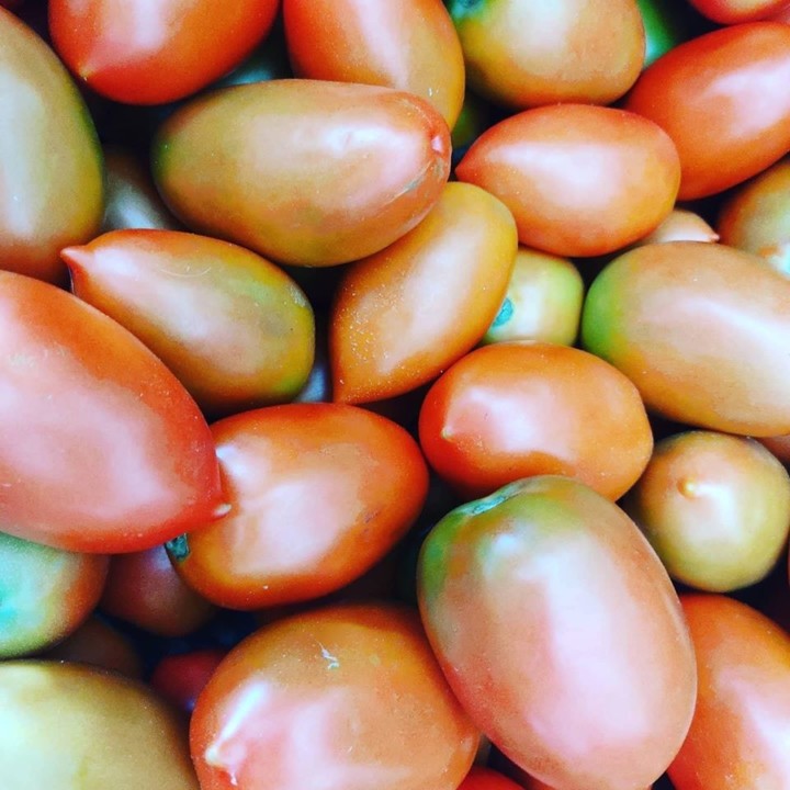 116087956_1770969496376137_357957840005415488_o.jp