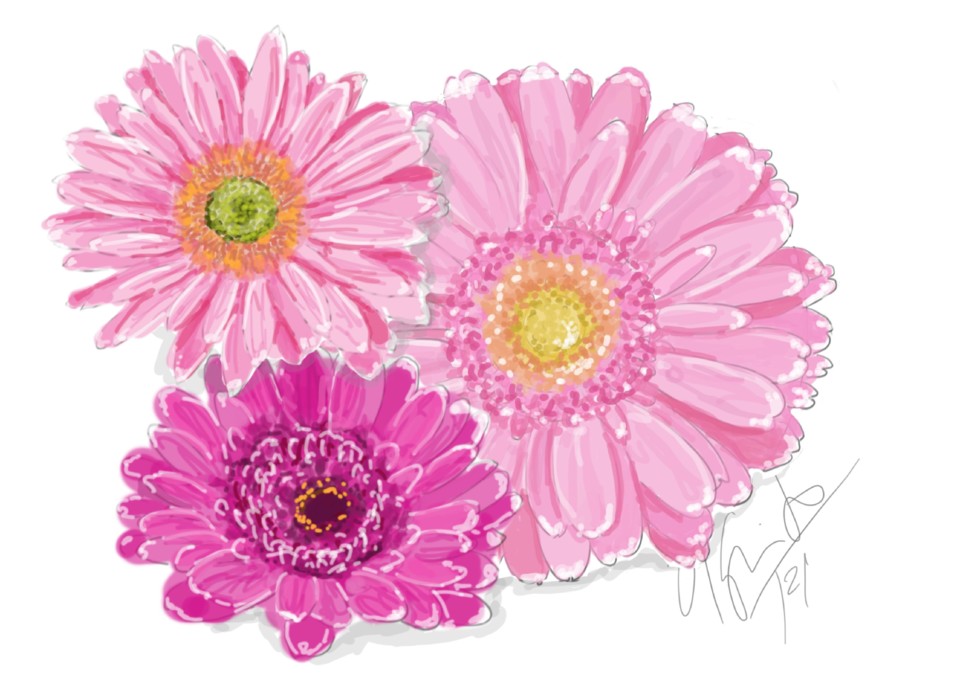 flores do meu jardim1.jpg