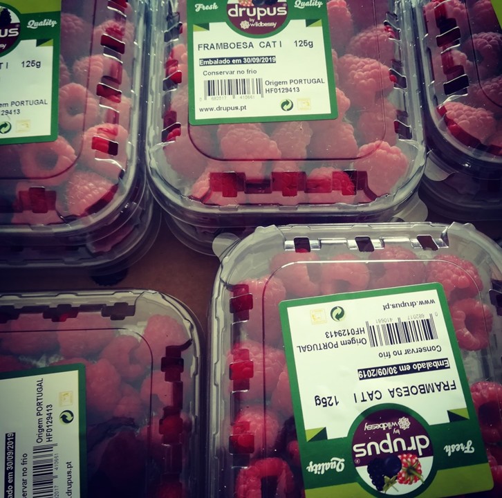 71052492_1477253562414400_716577330121670656_n.jpg 71052492_1477253562414400_716577330121670656_n.jpg