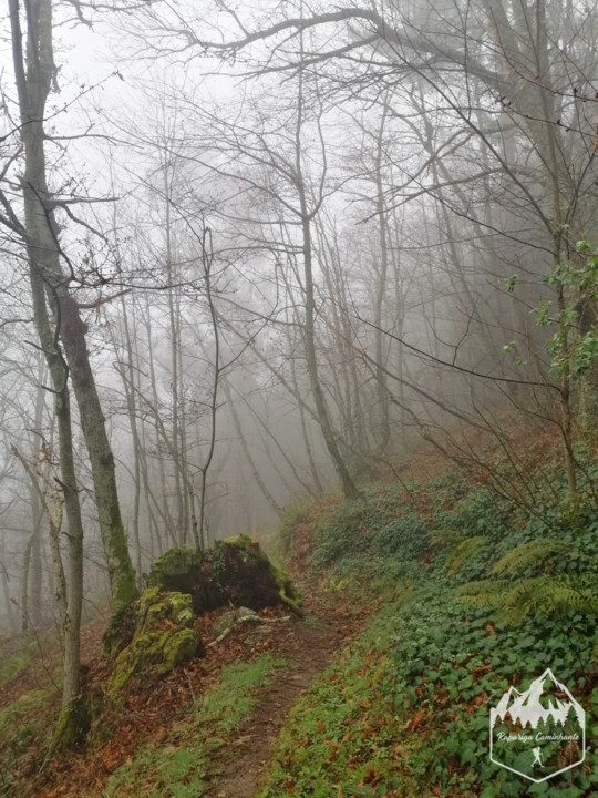 Photo_1582917234958.jpg Photo_1582917234958.jpg