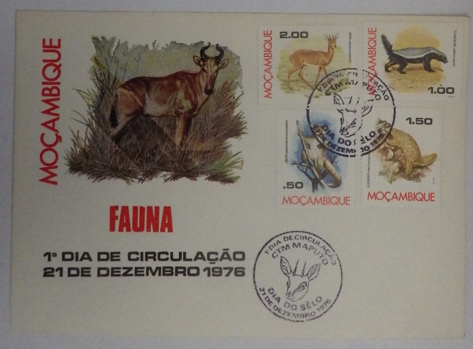 fdc_mocamb_ (5).JPG fdc_mocamb_ (5).JPG