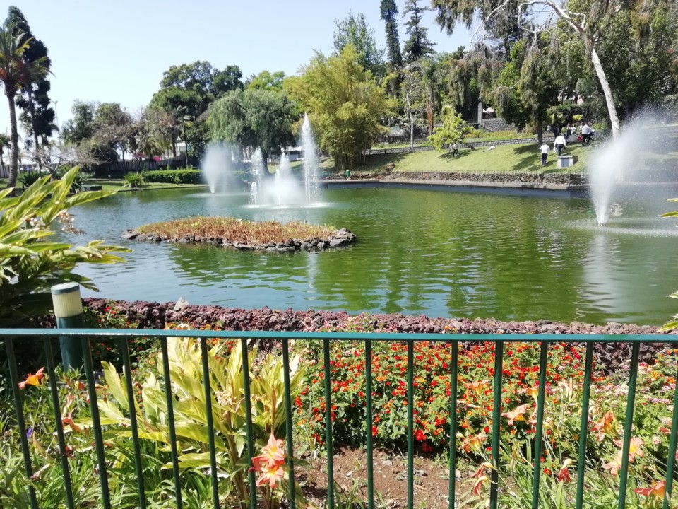 IMG_20210516_115726.jpg IMG_20210516_115726.jpg