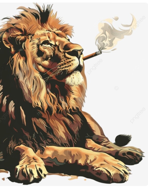 Screenshot_2025-02-01-14-43-45-275-edit_com.androi