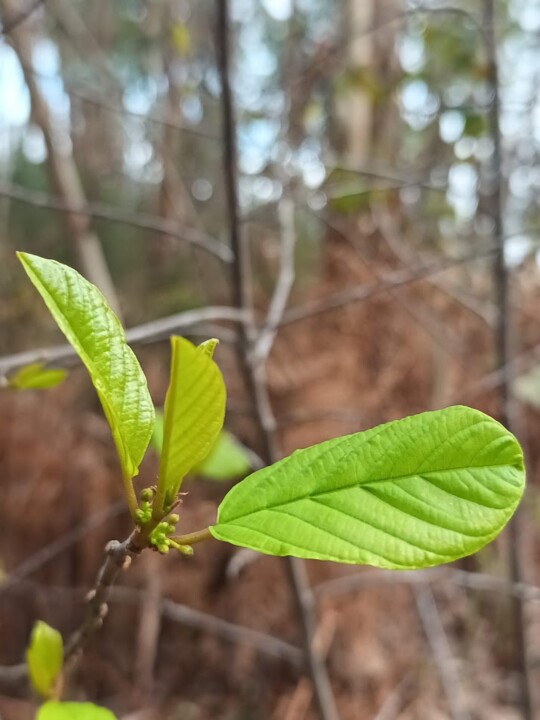 Não me canso disto Inverno 1.jpg