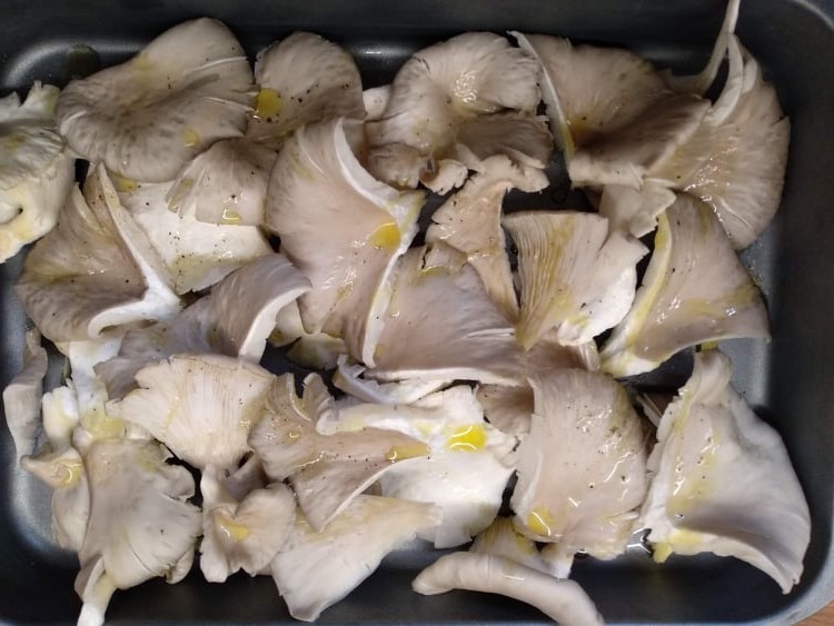 241849565_3019364151681630_3676966254359934449_n.j