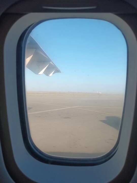 Não me canso disto voar.jpg