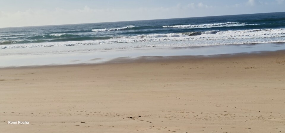 20241219_121430 (1).jpg