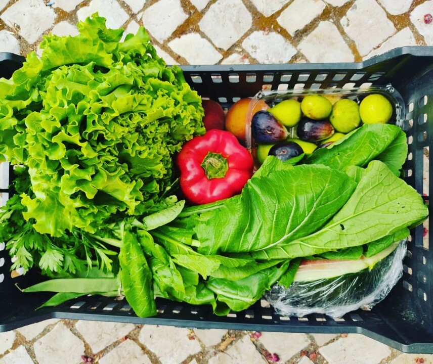 540438879_18496631050066958_4541058145545643808_n.