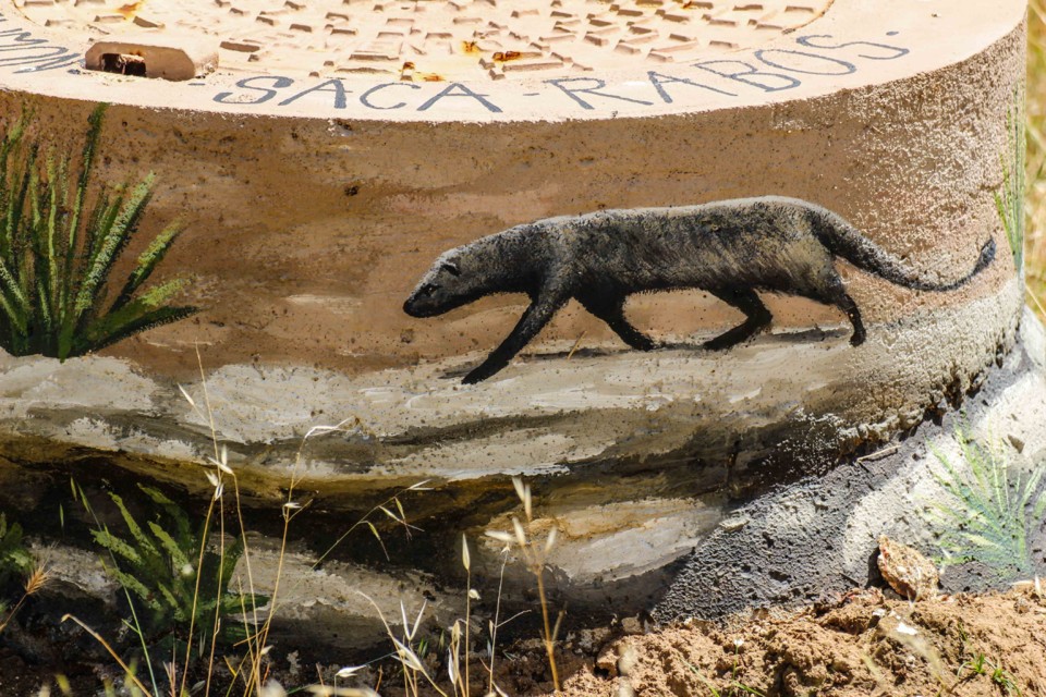 trilho das vinhas-2.jpg