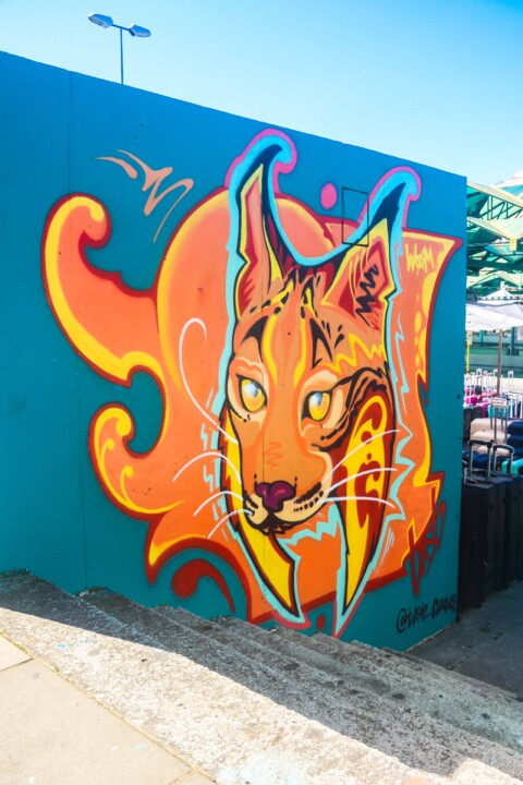 juntas hacemos 18.jpg