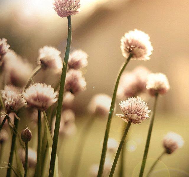 10341424_10202413219731402_483549198229763885_n.jp