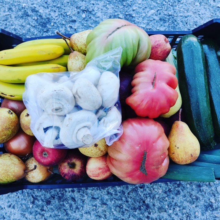 254293387_2161884167284666_6523264062441291749_n.j