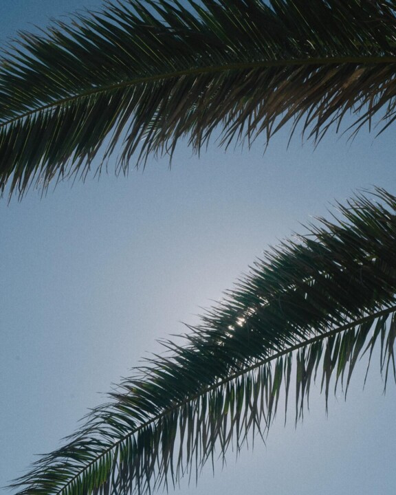 448980973_18435334996054695_6332699101512523245_n.